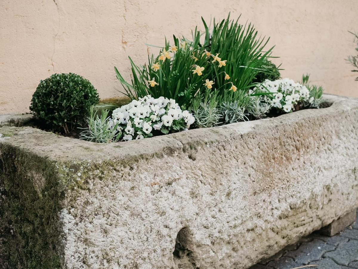 B&B Roudenhaff Echternach Exteriör bild