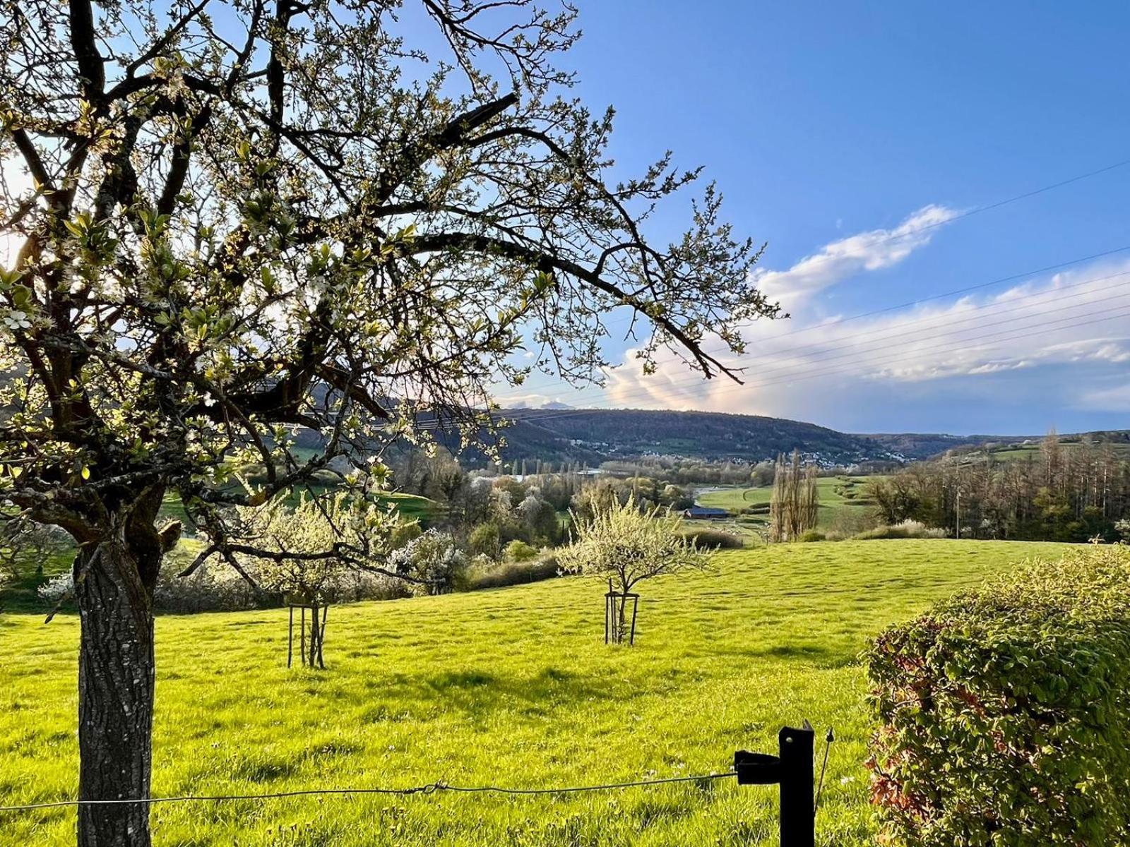B&B Roudenhaff Echternach Exteriör bild